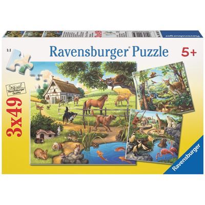 Spiel 1607.0