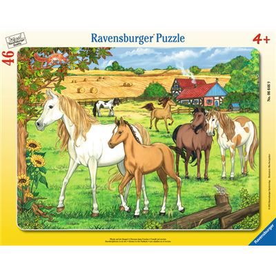 Spiel 1695.0